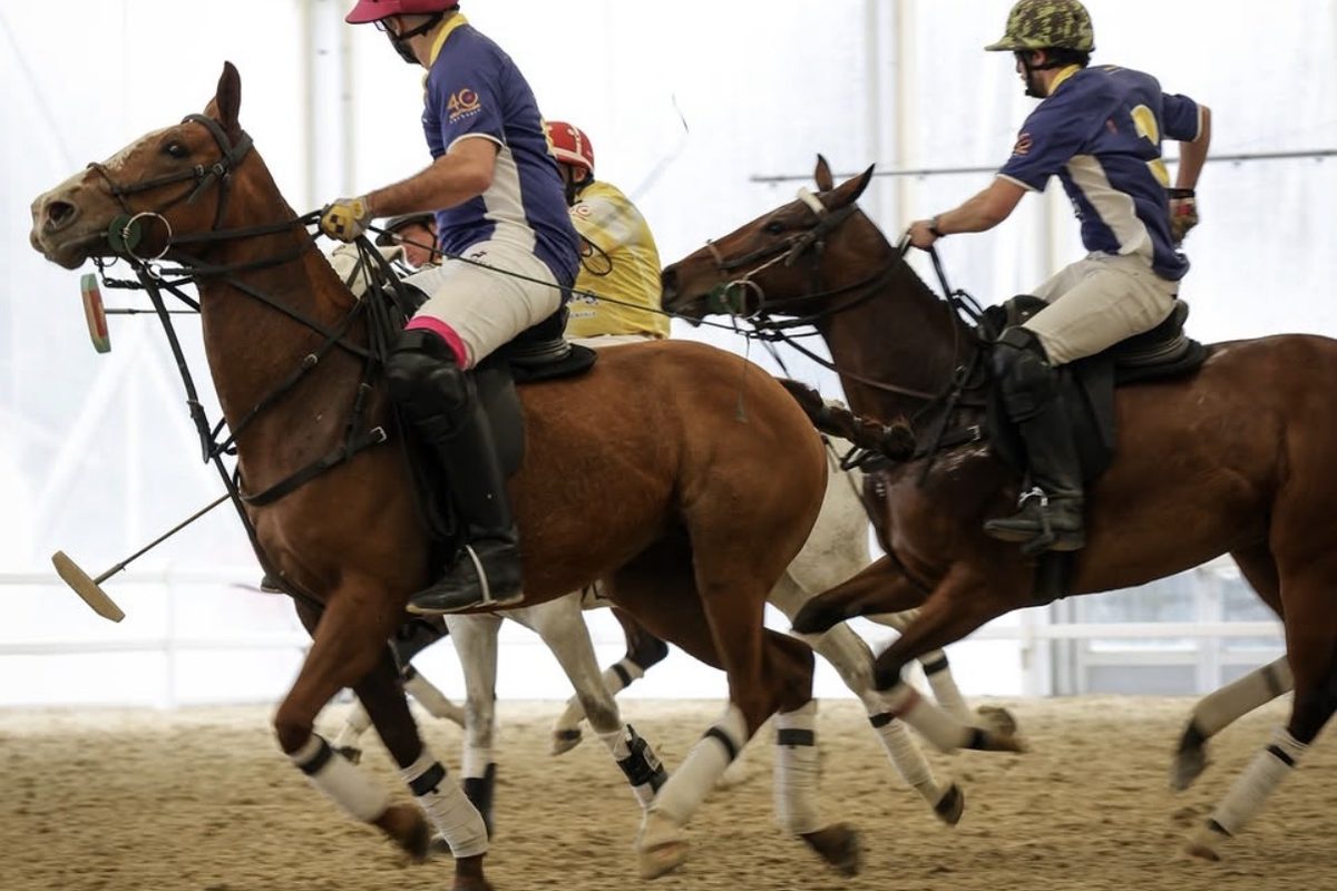 Meci de polo în arena acoperită de la Singureni