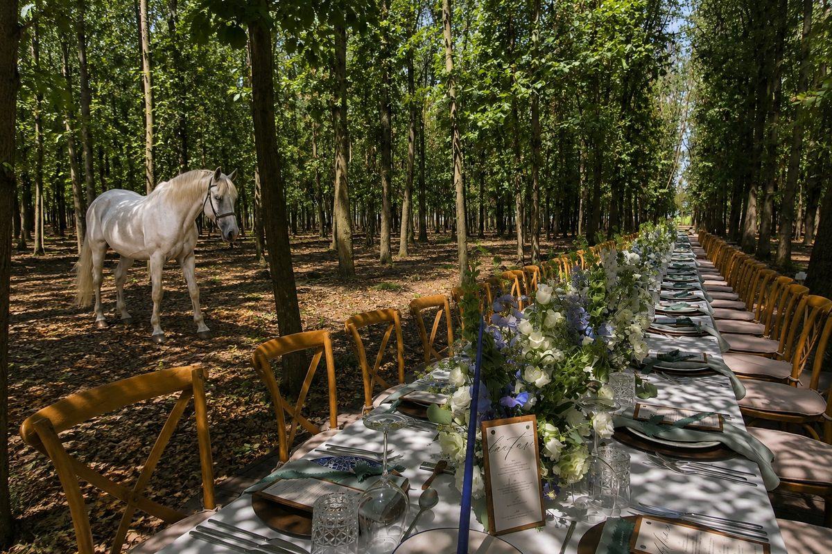 Masa lungă întinsă pe aleea de plopi de la Singureni Manor, cu un cal alb la marginea aleii